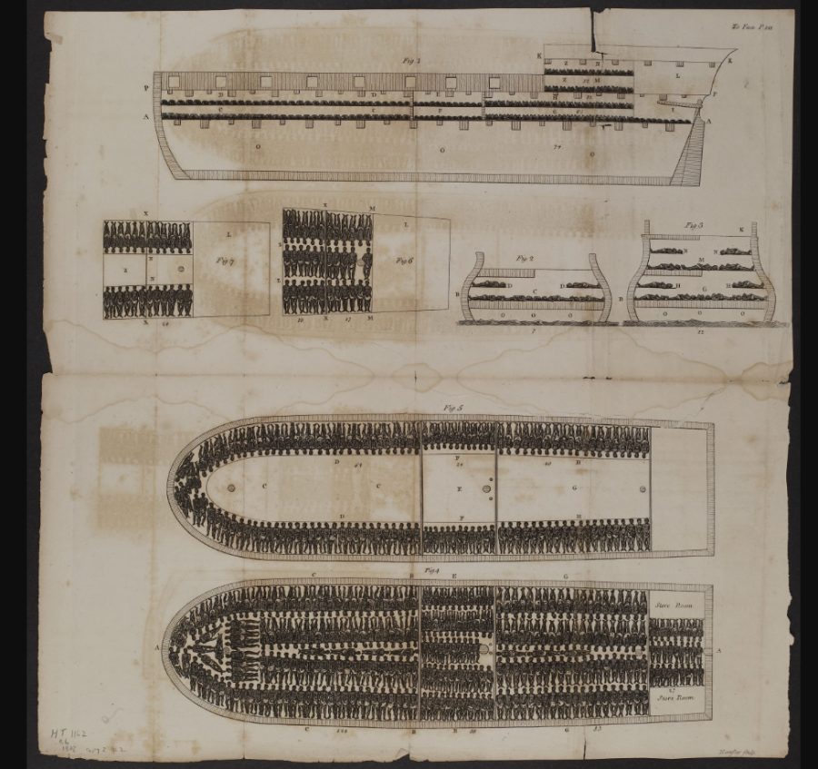 Slave+Ship+Diagram+-++Encyclopedia+Virginia