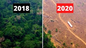 Photo credit: YouTube) This picture shows how humans have greatly altered and damaged the Amazon's appearance