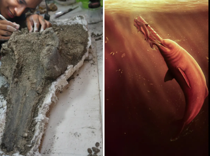 (Photo by Daily Mail) Description: This photo compares what the dolphin looked like when it was alive compared to what its fossil looked like when the paleontologists dug it up.