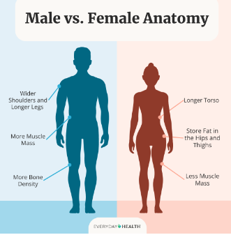 Do Men Have an Anatomical Advantage In Sports?