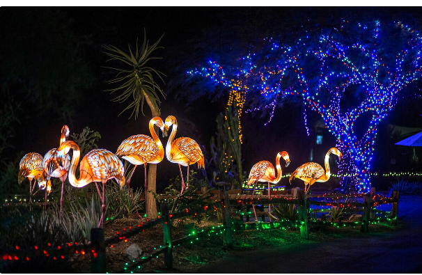 Photo Courtesy of a cbs15 (Phoenix zoo lights)